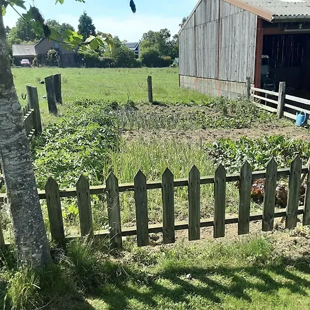 Pretty In With Courtyard